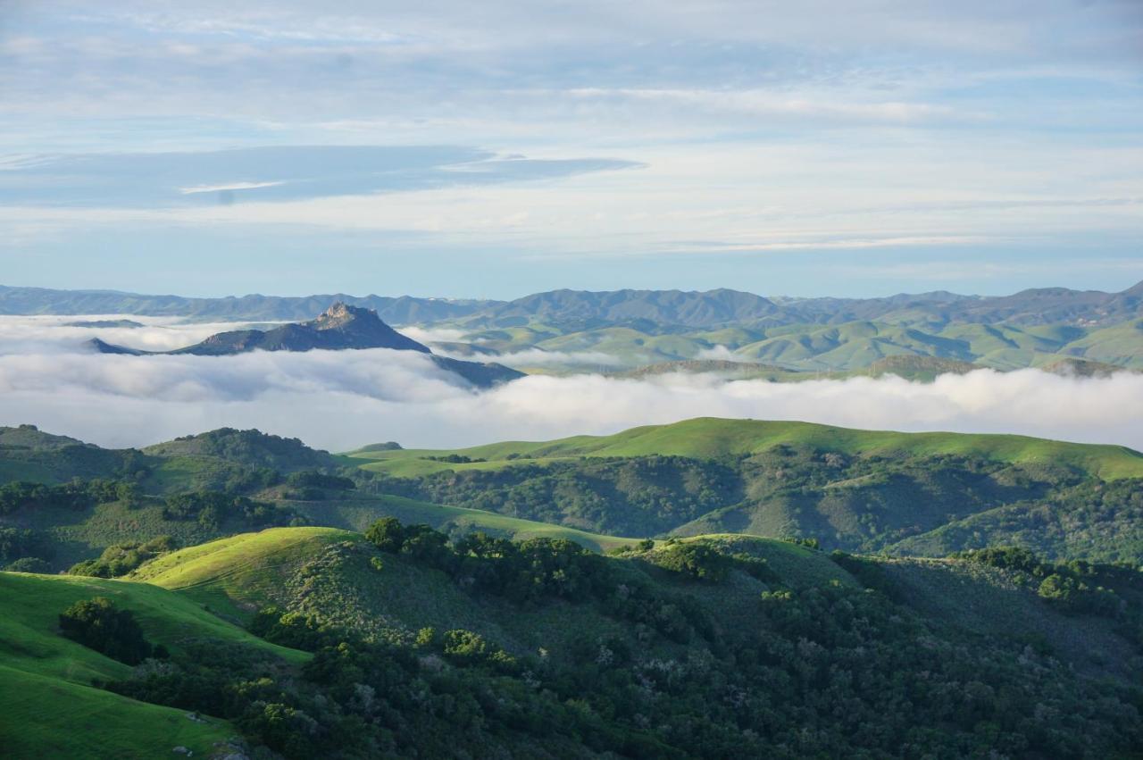 Mountain Top Getaway, Best View In Slo! - Whole House San Luis Obispo Exterior photo
