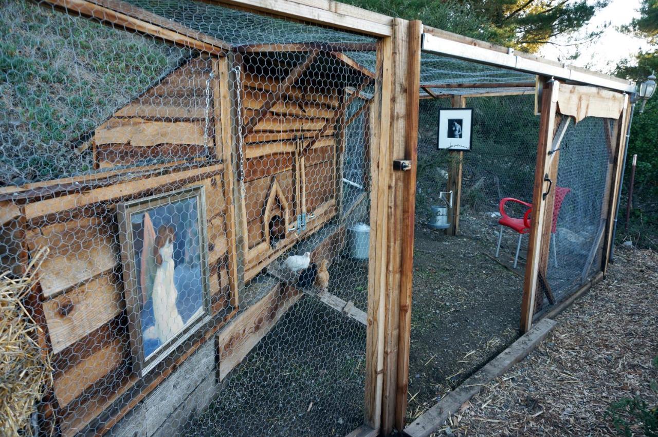 Mountain Top Getaway, Best View In Slo! - Whole House San Luis Obispo Exterior photo
