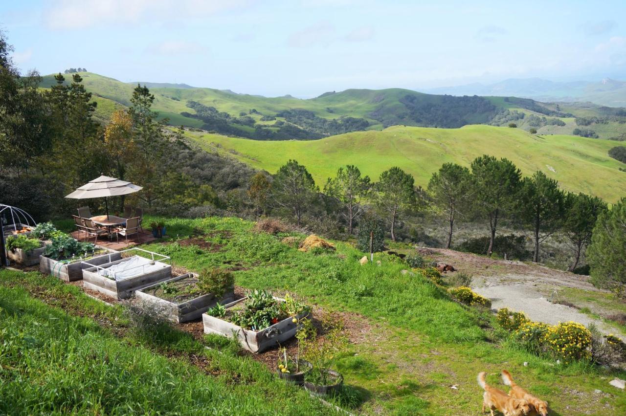 Mountain Top Getaway, Best View In Slo! - Whole House San Luis Obispo Exterior photo