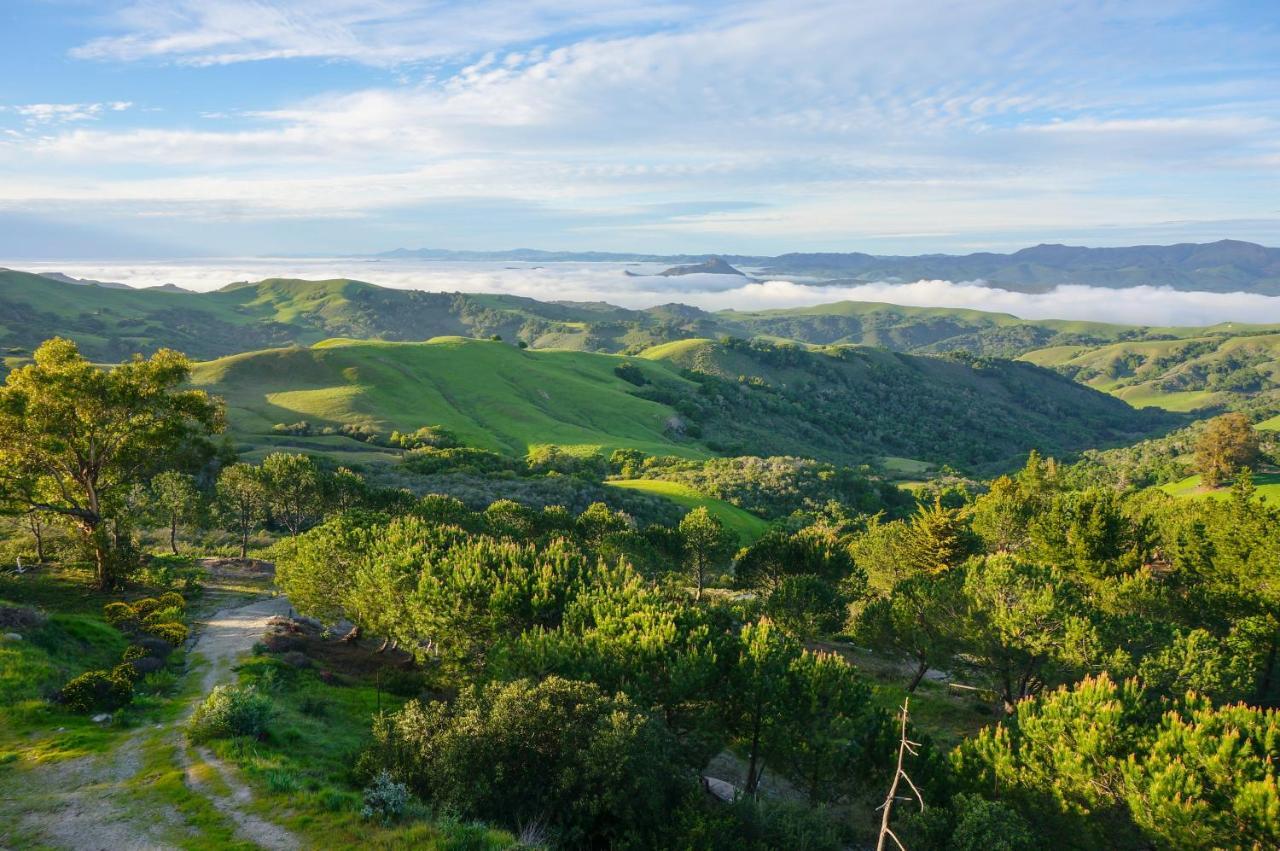 Mountain Top Getaway, Best View In Slo! - Whole House San Luis Obispo Exterior photo
